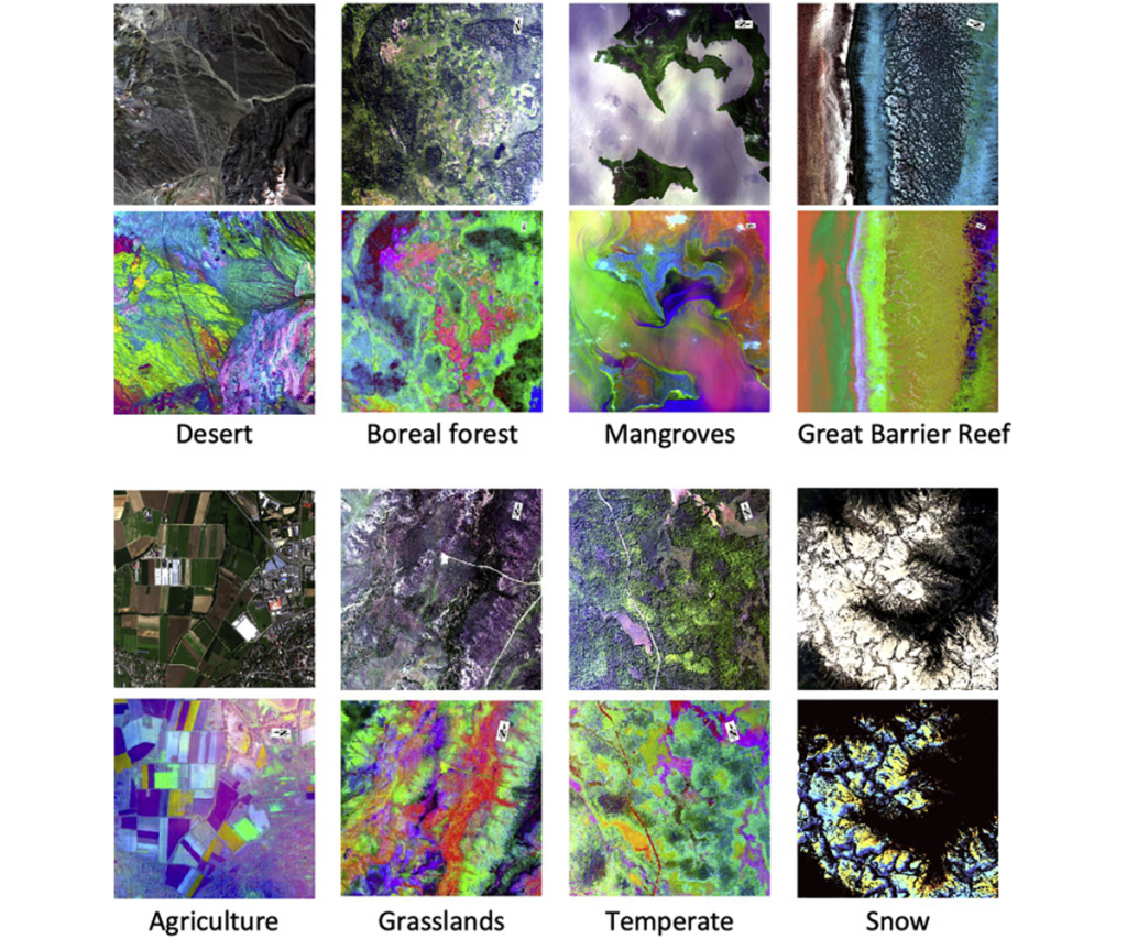Photos and algorithmic heat maps produced for varying biomes, including the desert, boreal forest, grasslands and snow.