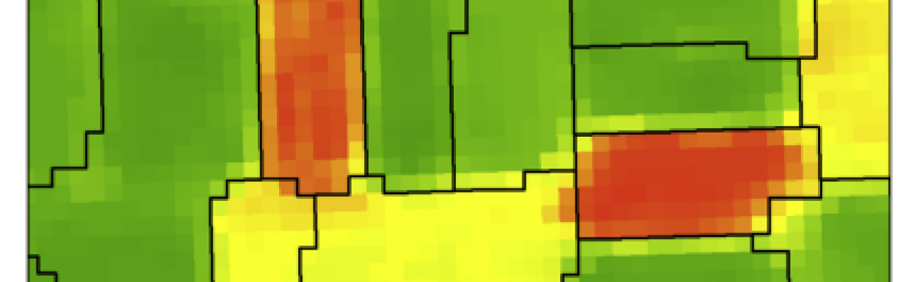 Heatmap of the Normalized Difference Vegetation Index, with segments separated by black lines.